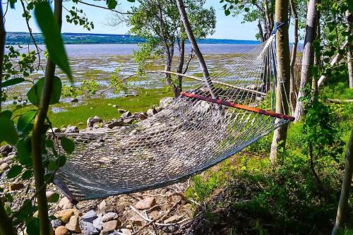 Studio 16 - 2 min du Bord de l'eau & Foyer & Barbecue