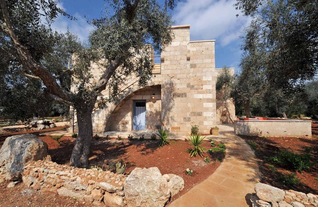 Studio in an olive grove