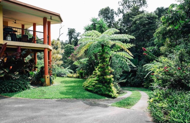 Studio in the Rainforest