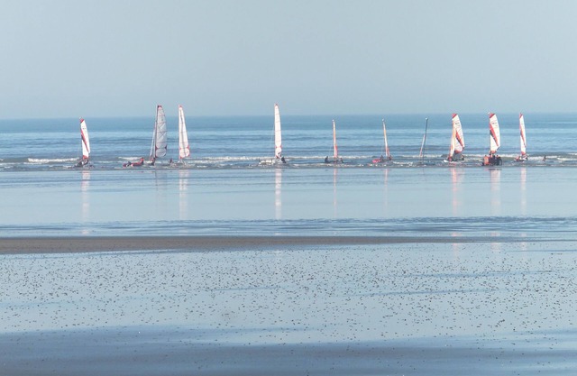 Studio located 100 meters from the beach