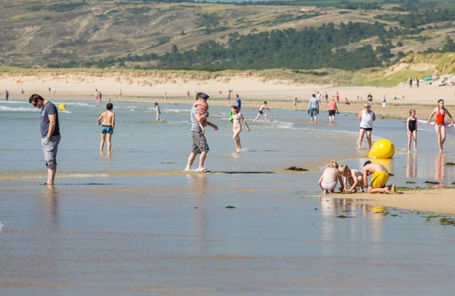 Studio near beach, pets allowed