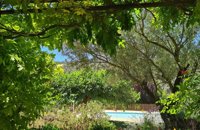 STUDIO - RECOMMENDED BY SMALL FUTE - SWIMMING POOL - VIEW ON VINES