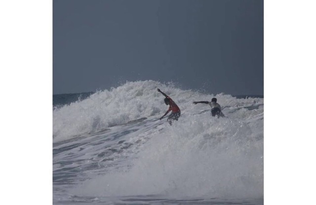 Studio Suite in a peaceful green, beach front space.This unit can sleep up to 6!