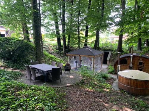 Studio z kominkiem z leśną sauną i jacuzzi i basenem do morsowania w okolicy Cieszyn i Wisła i Ustron