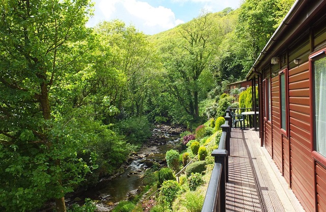 Stunning 3 bedroom lodge overlooking the West Lyn River.