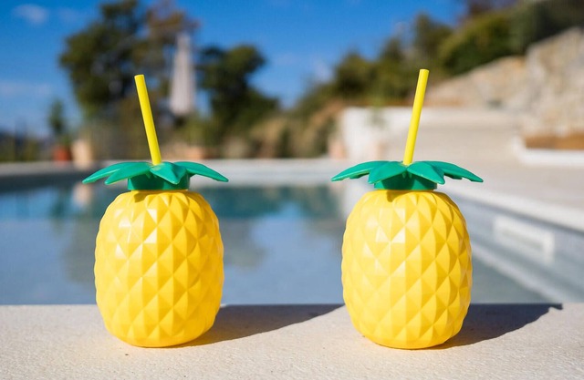 Stunning Home in Srinjine With 3 Bedrooms, Wifi and Outdoor Swimming Pool