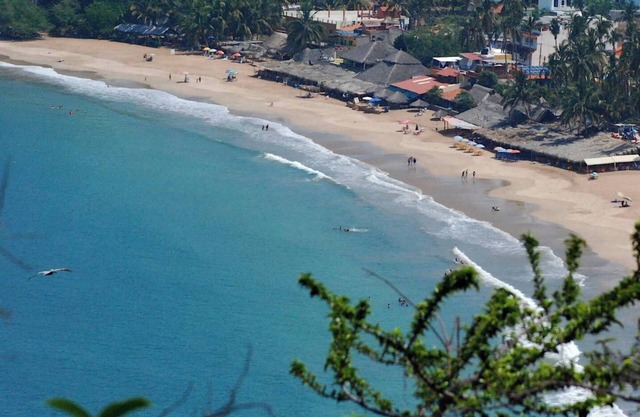 Stunning Ocean View in Nayarit Jungle #405
