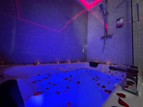 Suite 1 Private Jacuzzi Spa Hot Tub & Sauna