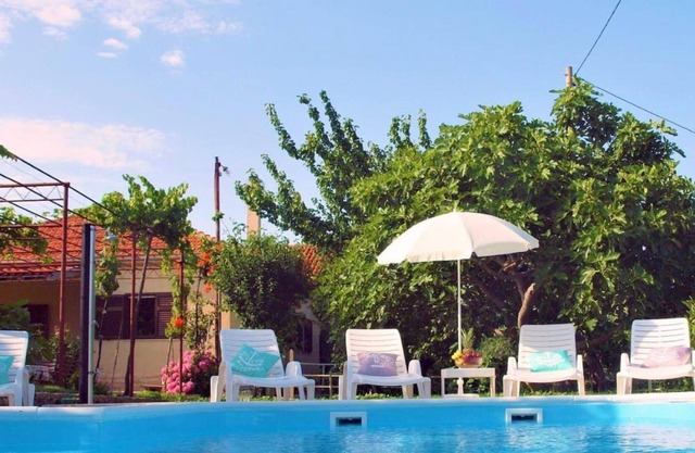 Sunflower house with a pool