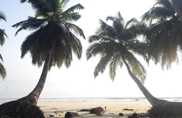 Sunrise Beach Resort