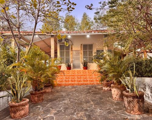 Sunset House