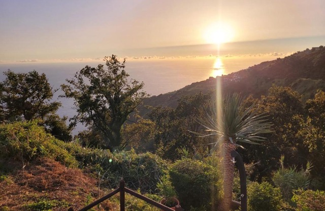 SUNSET REFUGE