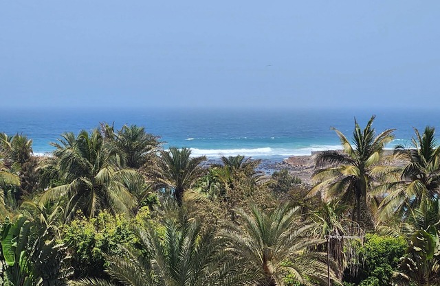 Superb Urban Oasis in Almadiesn