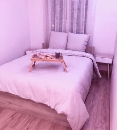 Superbe Appartement tout équipé, Le nid d'Eva à Metz Gare, Parking privé, Balcon, F2, 50m2, 3p