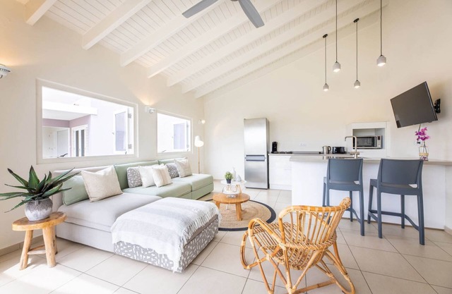 Superior Apartment Su