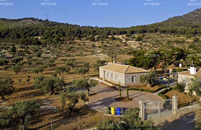 Superior farm house with olive trees