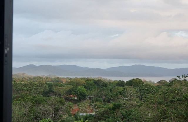 SurfAsana Lodge