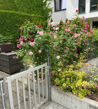 Sweet Home Vienna Townhouse