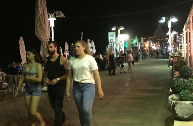 Sycamore on the Beach