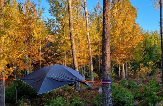Sydåbacka Tentsile-puumajoitus