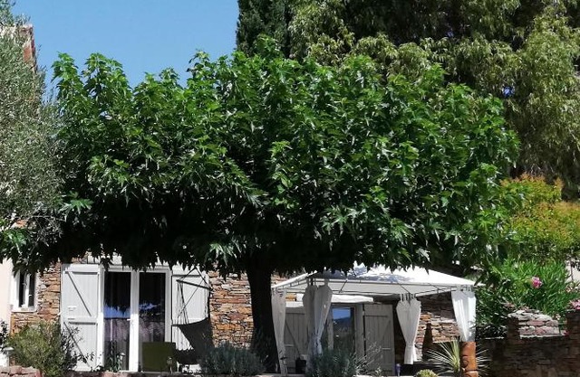 T2 de charme 55 m² au calme avec terrasse ombragée 40m2