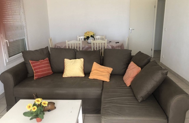 T3 70 m2 - sleeps 6 with terrace facing the dune and the ocean