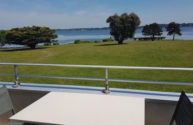 Tadorne de Belon - Locmariaquer