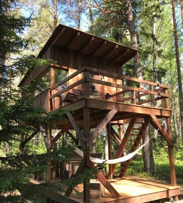 Tahkuna tree-house