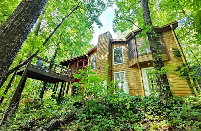 Terralodge: Wild Luxury on Monteagle Mountain