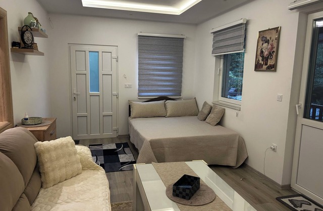 Terrific villa with AC in charming Sarajevo