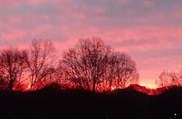 The 100 Acker Woods located in the Appalachian mountains