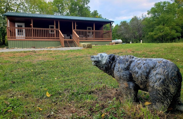 The Bear Den Cabin with pond view.