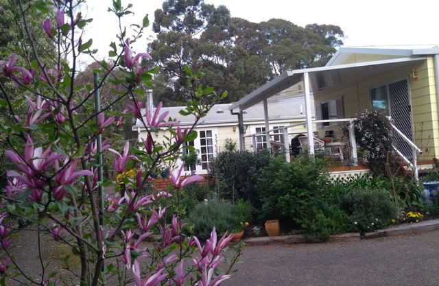 The Best Exotic Magnolia Cottage