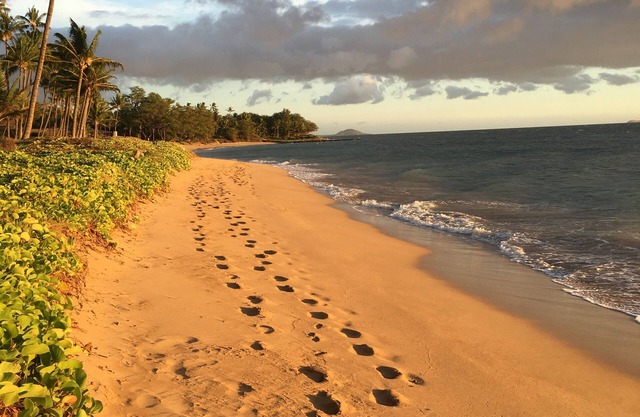 THE BEST KEPT SECRET ON MAUI ! LITTLE PEACE OF PARADISE