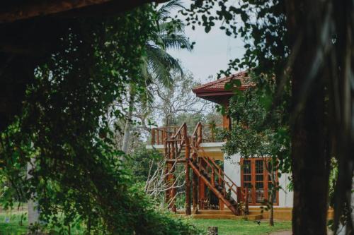 The Coconut Experience Eco Lodge Wilpattu