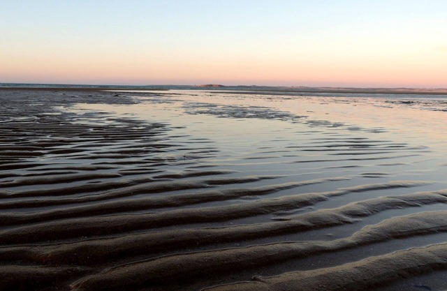 The Cottage-100m to beach, dog friendly