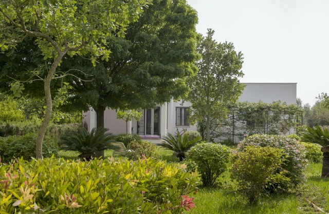 The cricket and the cicada - sea and nature apartment