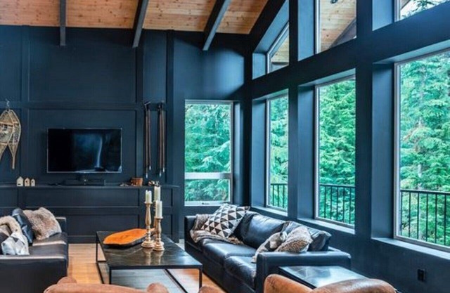 The Dark and Stormy Executive Mountain Retreat. The Cabin to Ski in and Ski Out