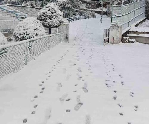 The Devan Wood Resort