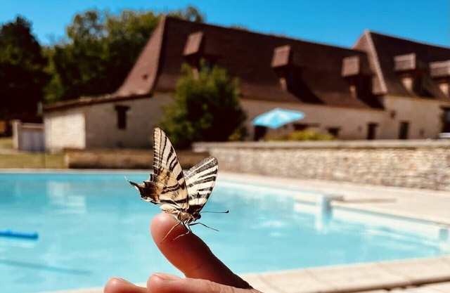 The Domaine de Camberoux