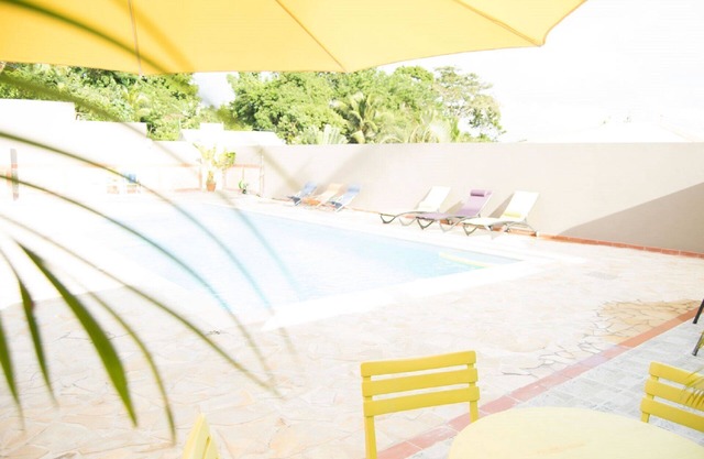 the domain of titine - Jonquille