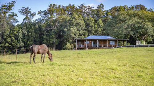 The Hitching Rail Hut - Romantic, Rural, Horses