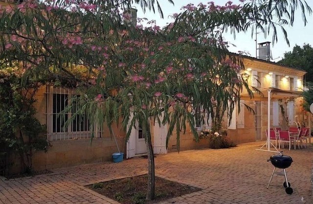 The House in the Vineyards