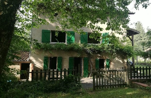 The house with the green shutters