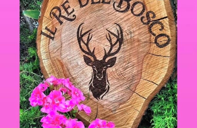 THE KING OF THE WOODS