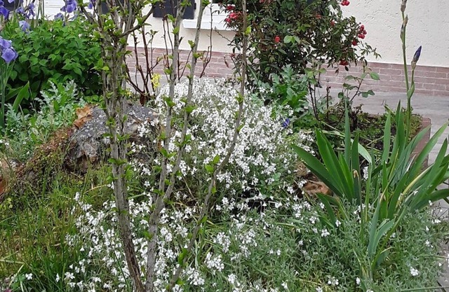 The little house by the water