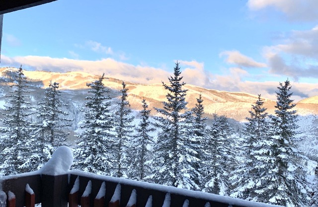The Lodge at Ridgepoint-Ski Out Access to Deer Valley Slopes!Walk to Silver Lake