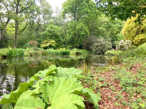 The Loft at Ash Beacon - Gorgeous 2 bed, hideaway in lovely private grounds