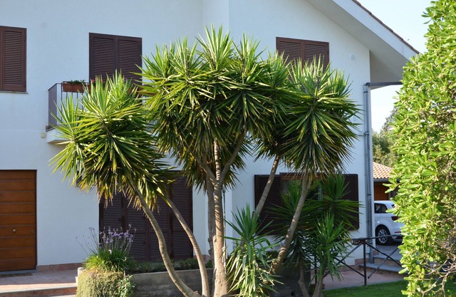 The luxury holiday home