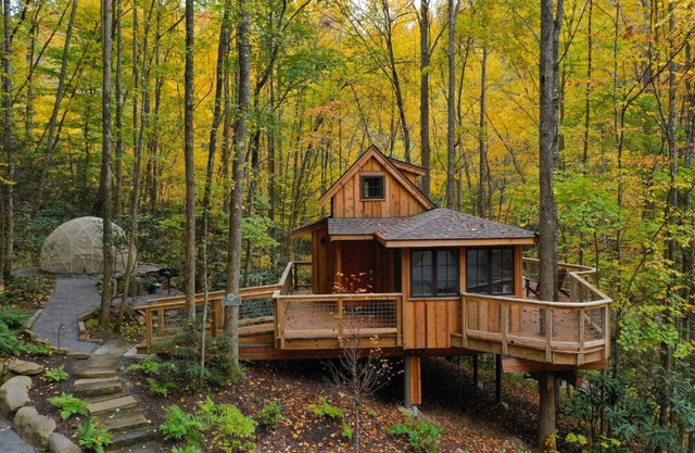 The Maple in Treehouse Grove at Norton Creek